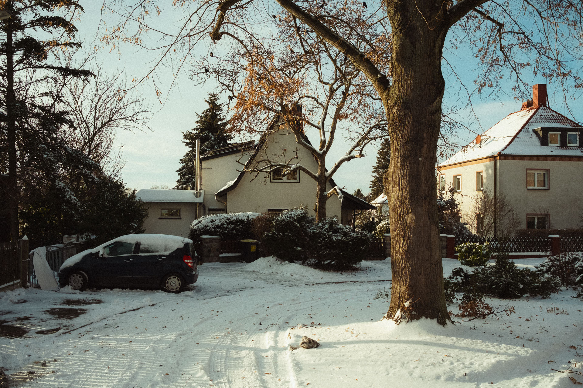 DSCF1059-2.jpg